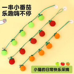 串柿猫薄荷玩具番茄逗猫串内置铃铛解闷自嗨玩具挂门毛球逗猫玩具