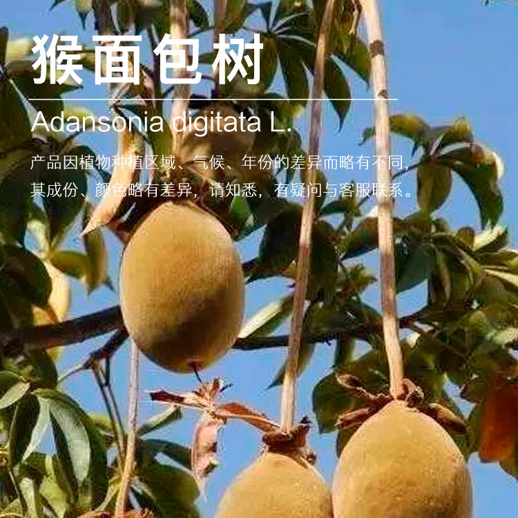 ���������  ���޺������  ��ѹե��������ͳ�������