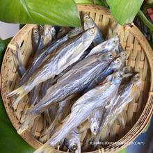 安徽安庆太湖县特产淡水河鱼干腌制咸鱼干刁子鱼参条子白条鱼袋装