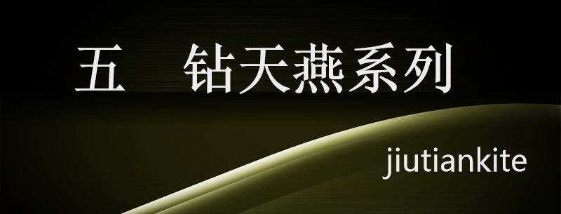 钻燕.jpg