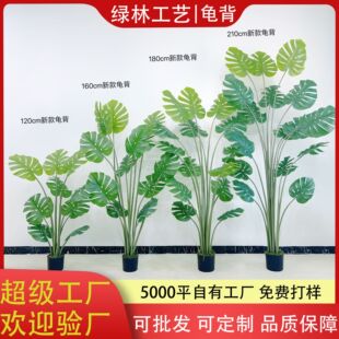 ��������PU�U���������~���Է���ֲ���辰��������������Gֲ�[��