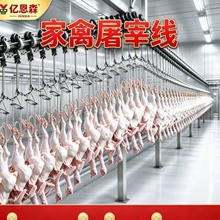 定制型鸡鸭鹅自动屠宰设备 小型家禽脱毛流水线 鸡脱毛机