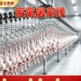 屠宰脱毛自动定制脱毛机