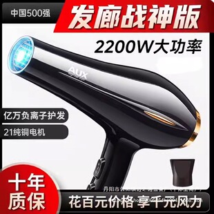 Oaks electric hair dryer household large wind negative ion hair care hair dryer hair dryer men's wholesale