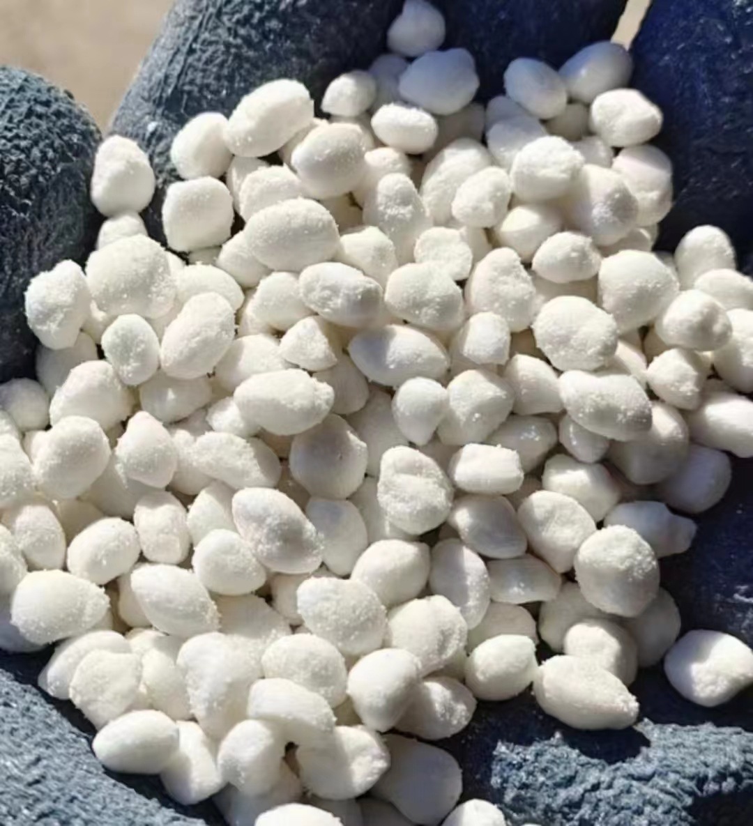 微信图片_20231213110709