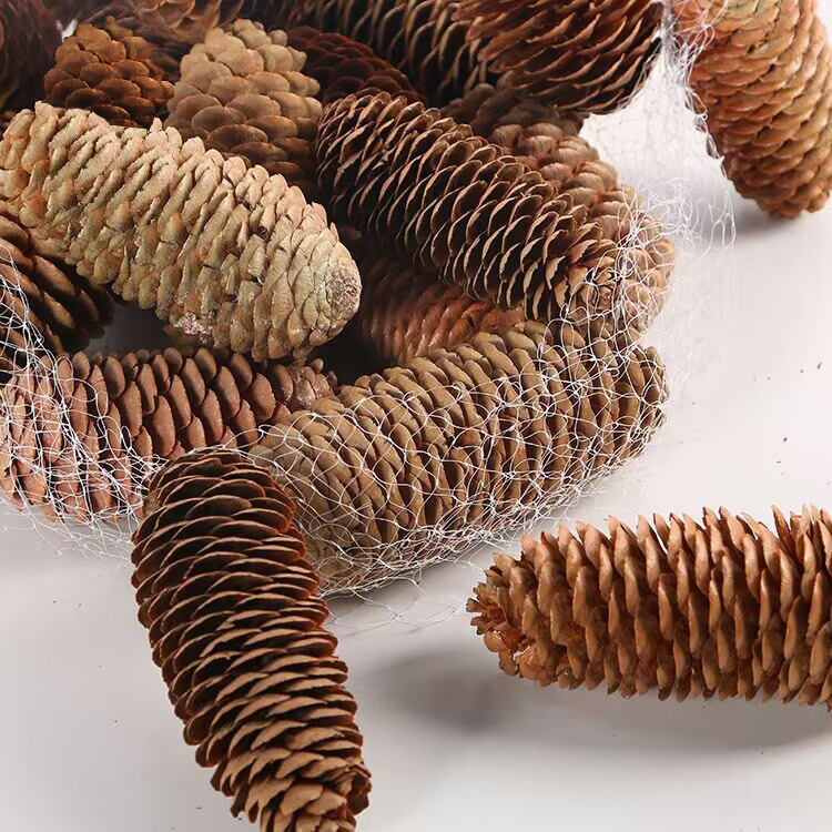 Spruce Pine Cone Pine Tower Christmas Decorations Shooting Props Dried Flower DIY Material Handmade Natural Ornaments Mori