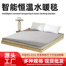 水暖电热毯双人水循环智能双控调温电褥子家用无辐射水暖电褥子