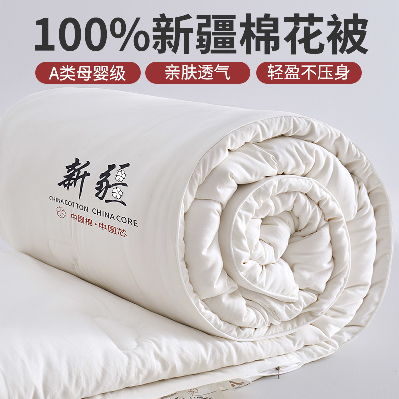 Class a 100% Xinjiang Cotton Quilt Thickeneded Warm Winter Quilt Spring & Fall Quilt Household Quilt Pure Cotton Quilt Core