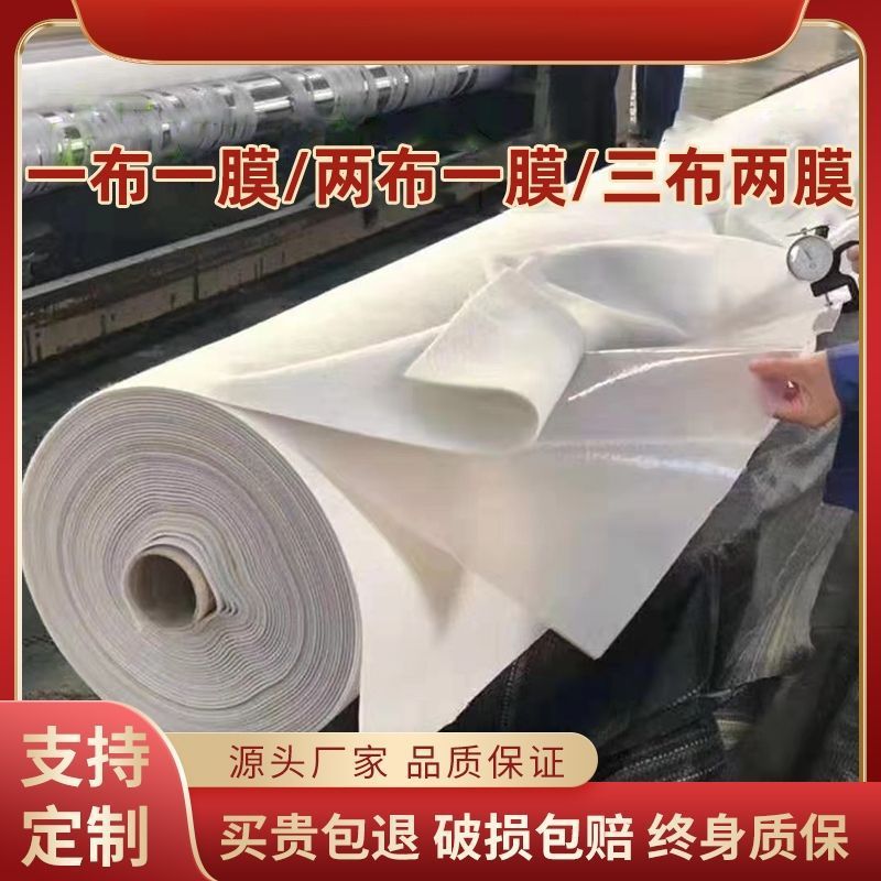 包检测复合土工膜两布一膜防水土工布鱼塘防渗膜蓄水池防水布