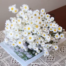 干花;永生花;仿真花