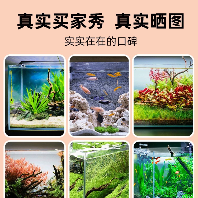 Aquarium glass tank, ultra-white (Jinjing) rectangular, multiple sizes, 4–6 mm thickness