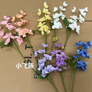 ��֧С�w�� ʮ�^������ɫ�w���С����c�廨���滨