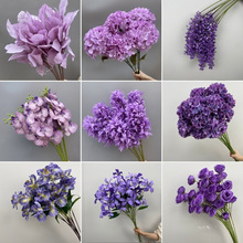 cɫϵĵֻĻYõbٻ·廨