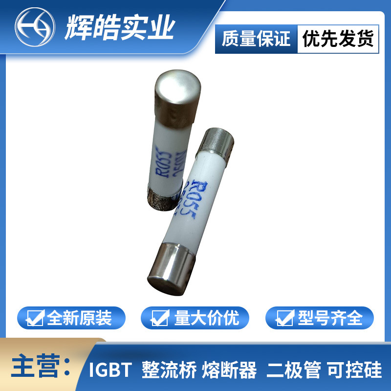 R055 250V 2A4A6A8A16A  熔断器 熔断器配件 电子元器件