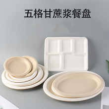 一次性纸盘五分格餐盘食堂餐具甘蔗纸浆可降解加厚长方形餐盒