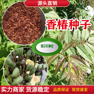 �㴻�N���㴻ѿ�㘶�^��t���䴻���㴻�������㴻���㴻ѿʳ��