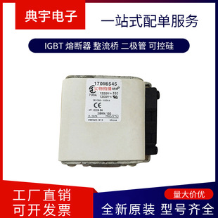 Fuse 170m6524 6534 6538 6539 6540 6541 6542 Complete Models