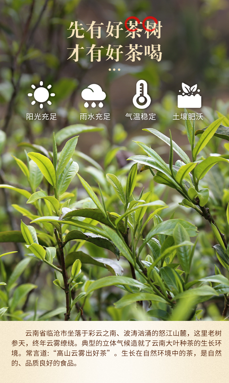 碎银子_04.jpg