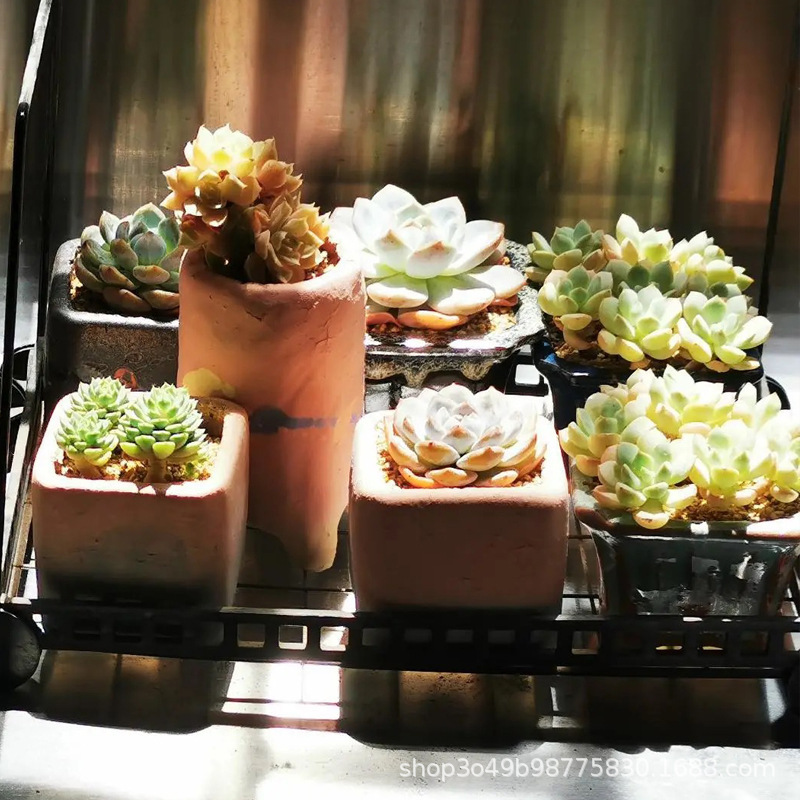 多肉植木鉢麦飯石小方収納吸水陶磁器創意粗陶メーカー卸売り|undefined