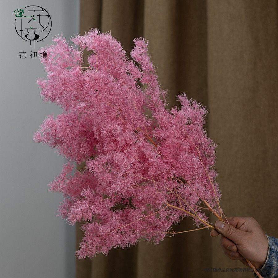 스위트 파우더 약 100g