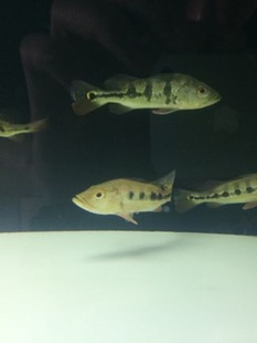 �������~�ʹ����g���ϻ��~���w�������g�ߙn���~���~�Lˮ��ؔ�~