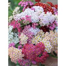 ǧ�~������׷N������W䏲ݷN�ѿ��л��������ͺ��������Դ��ﲥ