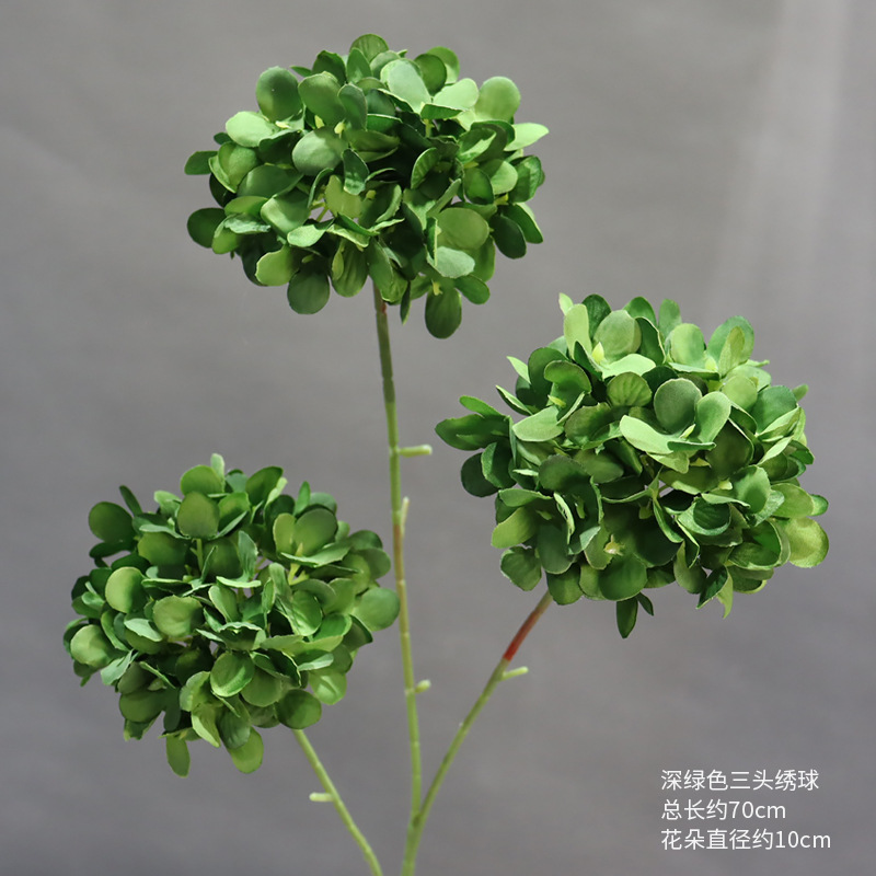 Hortensia de tres cabezas de color verde oscuro