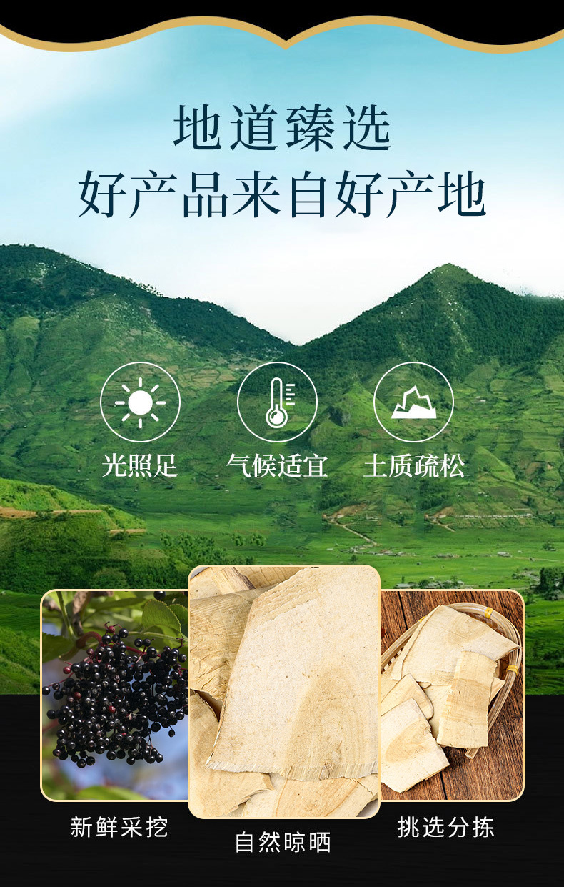 Jie Gu Mu (Sambucus williamsii) — Dried Elder Branch Herb for Decoction & Soup overview