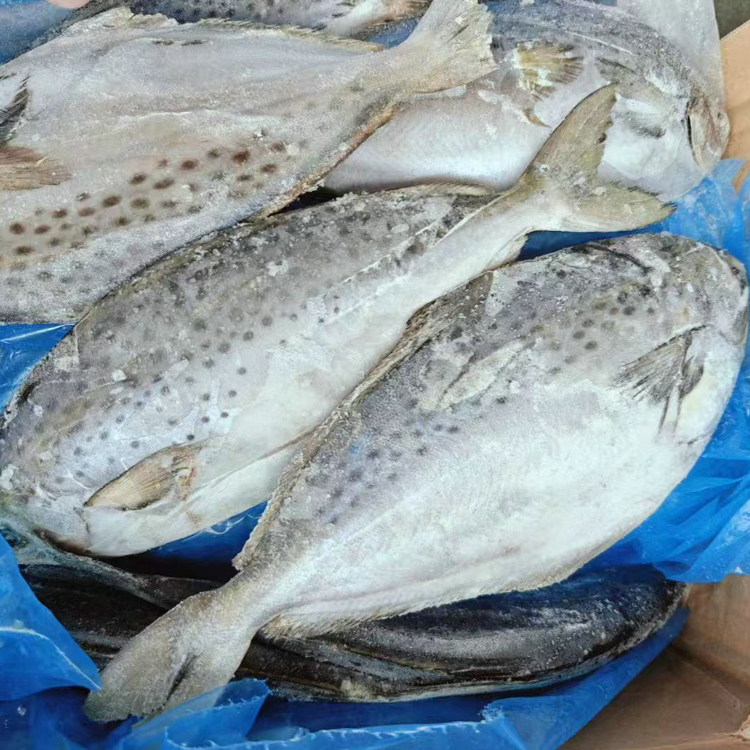 雪花鲳鱼金鲳鱼冷冻海鲜水产鲜活海鱼海鲜水产冷冻水产批发商用