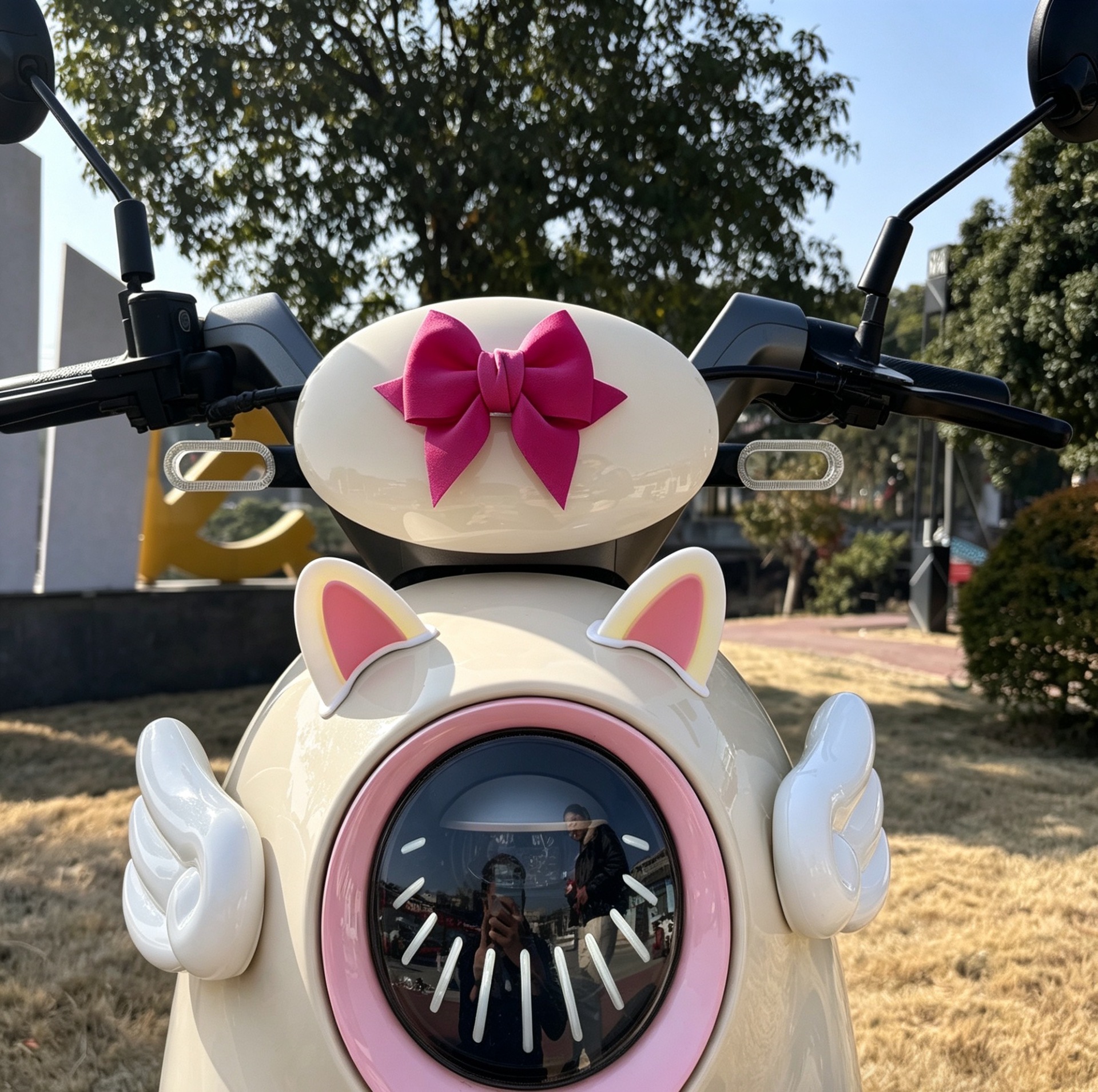 Suitable for Aima Luna Electric Vehicle Decoration, Trendy Bowknot Wings and Ears, Electric Vehicle Modification and Beautification Stickers