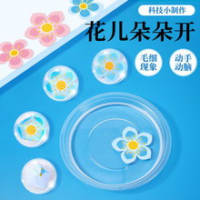 ��������_�ƌW��� DIY С�W���ֹ����� �Ƽ��߲̾��ϰ����b