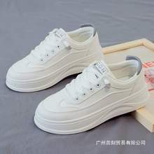 2025¿ٴСЬŮЬ\ЬeϵЬЬ