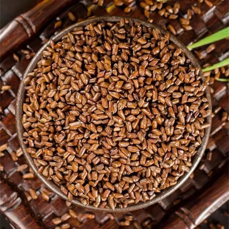 Cassia Seed 500g Jue Ming Zi Dried Herbal Tea Bulk Decoction Pieces specifications