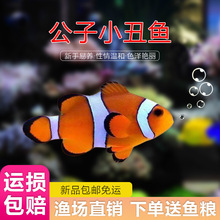 ����С���~���~��ˮ�^�p�~�ĺ�ѩӡ����߅ɺ�����������~���f���]