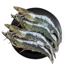 鲜驰特大新鲜大虾冷冻青虾对虾海虾冻虾渤海基围虾一整箱白虾批发