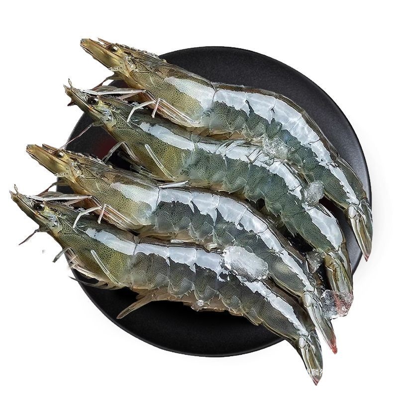 鲜驰特大新鲜大虾冷冻青虾对虾海虾冻虾渤海基围虾一整箱白虾批发