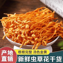 虫草花干货无干燥剂孢子头食用菌干货精选煲汤精品盒装菌菇无熏硫