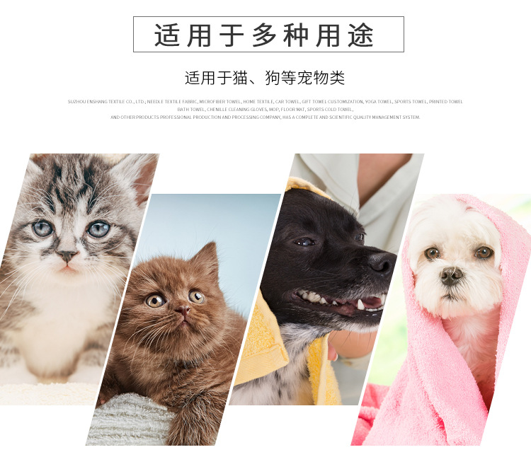 恩尚纺织详情--雪尼尔宠物毛巾_09.jpg