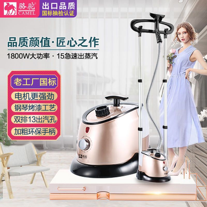 Steam Ironing Machine Vertical Household Double-Pole Small Handheld Ironing Clothes Electric Iron Clothing Store High Power