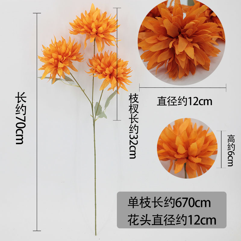 微信图片_20220530100616