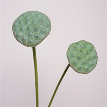 花荷花莲花中式莲蓬荷叶造景插花装饰摆设莲蓬装饰造景道具