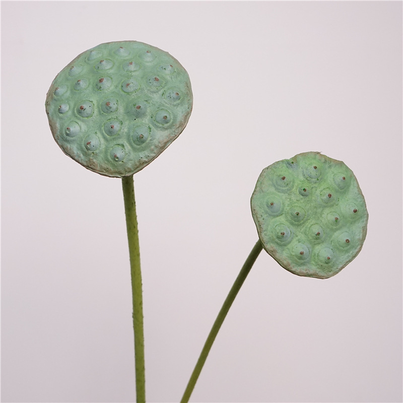 花荷花莲花中式莲蓬荷叶造景插花装饰摆设莲蓬装饰造景道具