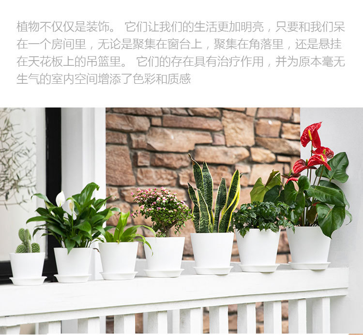 C13-7详情_03.jpg