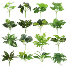 ����ֲ��Gֲ�~�Ӳ廨�ڒ��~�����b����ֲ��G�}�����~�ٻ�