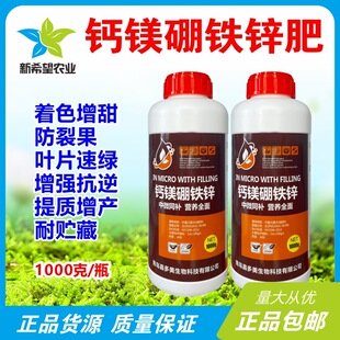 �}�V���F�\�� �����ݮ�����O��ʯ��ʩ�پG�����L���ѹ��~���