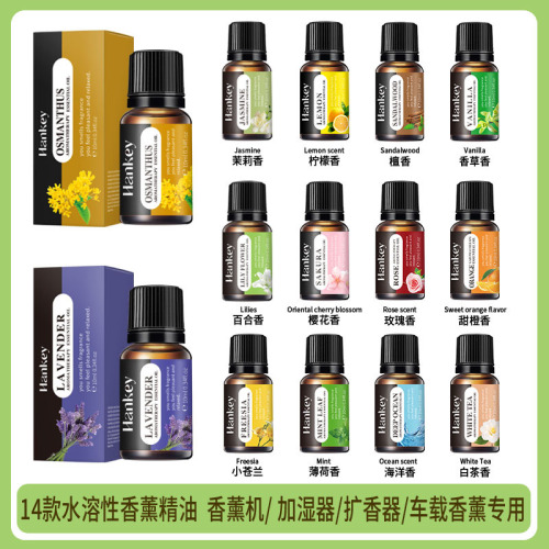 Cross-border foreign trade aromatherapy essential oils, indoor long-lasting fragrance, air freshening, water-soluble aromatherapy plant essential oils wholesale