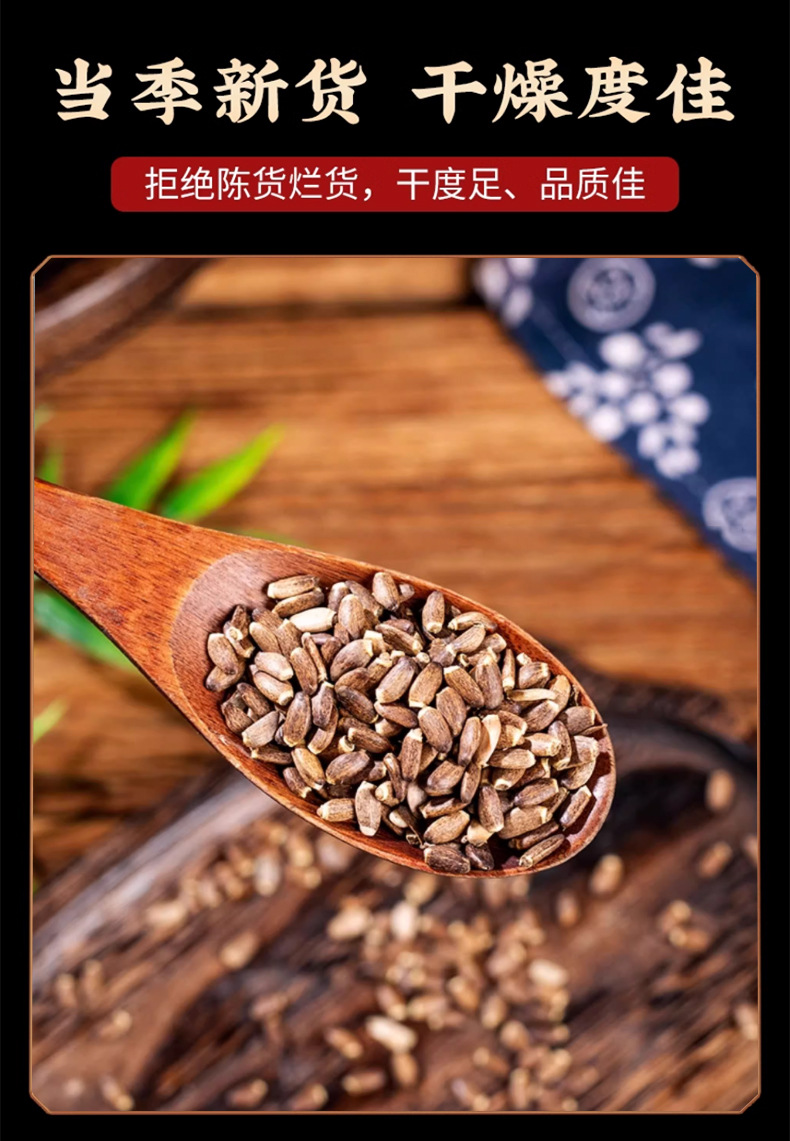 Milk Thistle Seed Shui Fei Ji 500g Dried Silybum Marianum Seeds for Herbal Tea and Decoction preparation