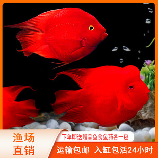 �t�W�^�~���~�Ꭷ�^�p�~��ˮ�~�Lˮ�~Ԫ���~Ѫ�t�~�lؔ�~