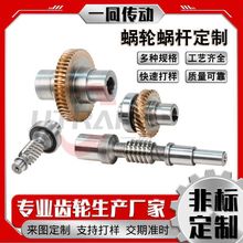 厂家定制精密磨齿蜗轮蜗杆 定制非标大小模数蜗轮 微型减速机蜗杆