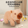 Capibala little turtle light brown